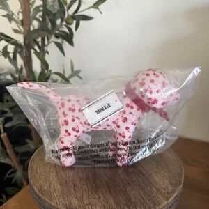 VICTORIA'S SECRET GALENTINE'S DAY PINK MINI DOG CHERRIES VALENTINES DAY 2026 NEW